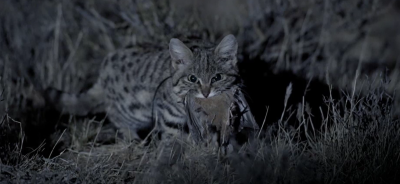 Laser Color tweet media