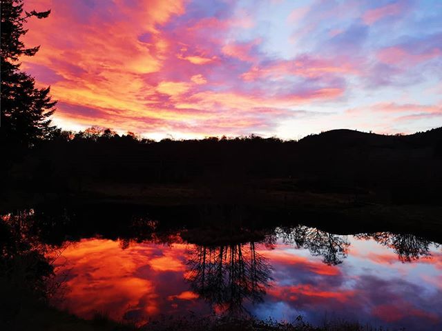 AshtagTrends's tweet photo. Living for Spring sunsets rn 🌅
.
.
. 
#scotland #sunset #highlands #colours #thatview #beautiful #outdoors #home #huawei #mirror https://t.co/LpdCeJYuHp