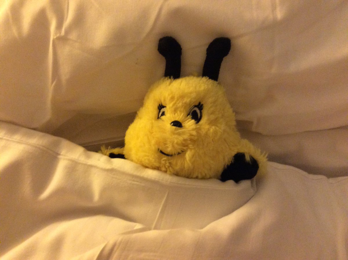 GracieMacbee's tweet photo. And finally, it’s bed time!  Excellent day catching up with @Rubee_GBS @motherwellgb The @gbinscotland QA participants were awesome😊 I even got to try a fruit pastille during the mindfulness session.  Sleep well everyone - I’m a tired little bee😴😴😴🐝🐝🐝 https://t.co/qzlMZCIPXn
