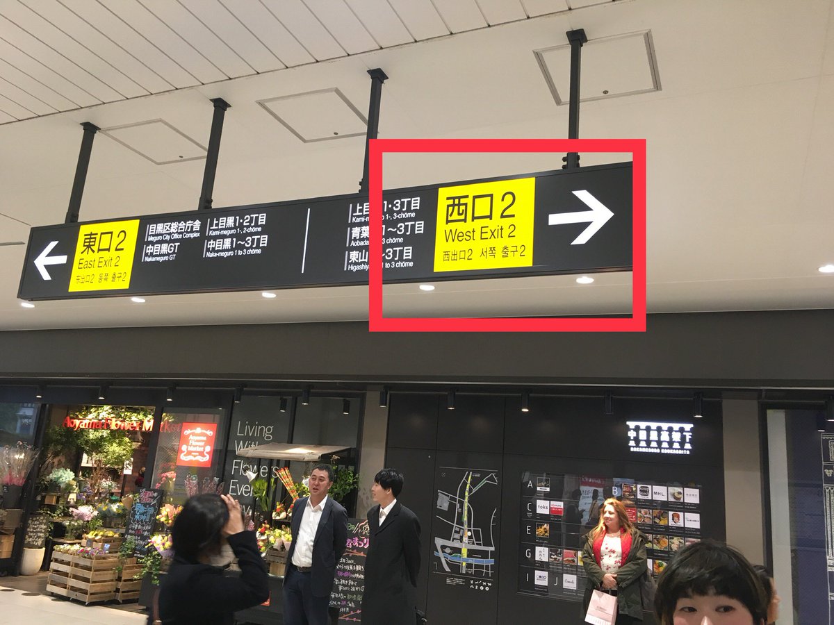 サルサホットラインジャパン Salsahotline Twitter