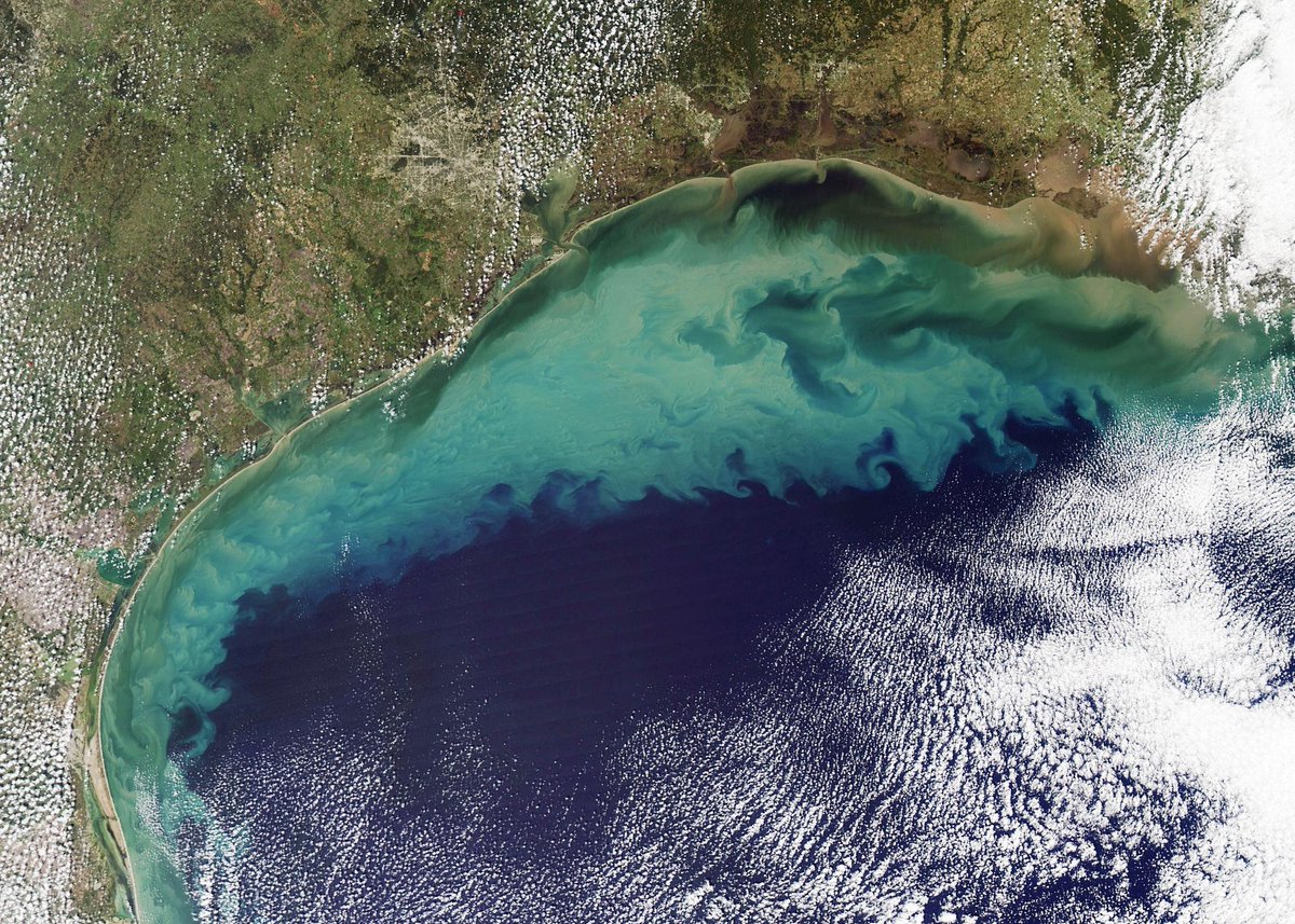 sciam's tweet photo. The ocean is running out of breath, scientists warn https://t.co/IZnJdCNpKE https://t.co/0u2d304d4A