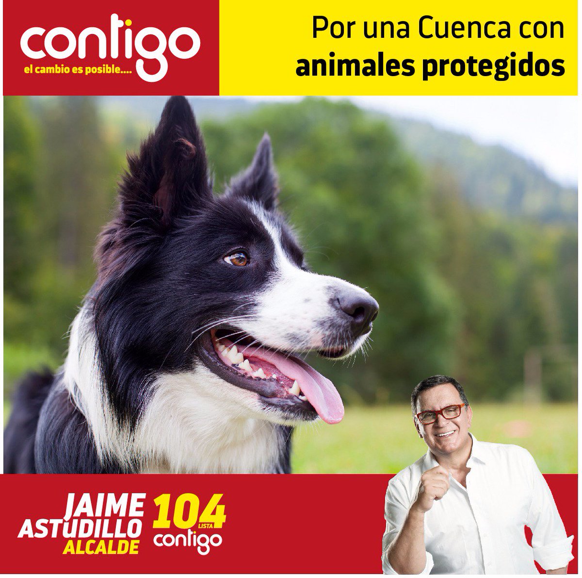 JAstudilloOfi's tweet photo. La ciudad no es solo seres humanos. Los animales juegan un rol fundamental en la vida urbana y merecen ser protegidos. Organizaremos: Campañas de esterilización, Vacunación y la asociación público-privada para servicios hospitalarios a bajo costo. #ElQueSabeSabe https://t.co/1nTHI9JF5L