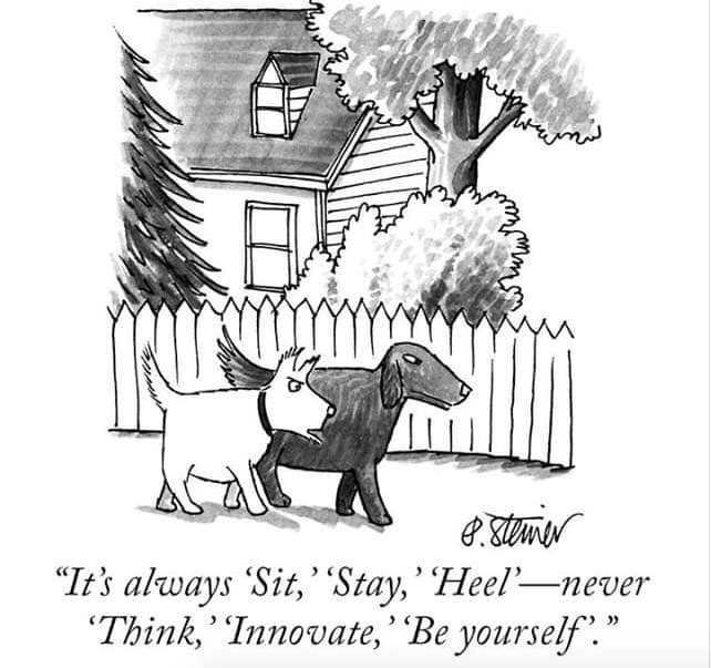 🤔Hmmm.... 

#DitchBook #InnovatorsMindset #TLAP #FlipgridFever #MakeItReal #EdTechOB