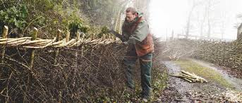 Then much longer, flexible, hazel or willow rods are woven horizontally between the vertical stakes and then tamped down tight.