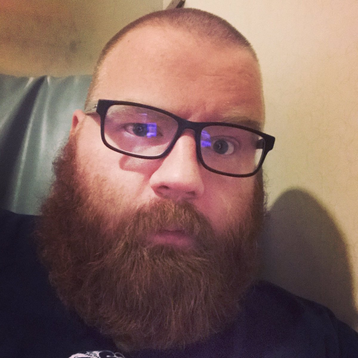 FlffyBrddGngr87's tweet photo. New glasses, who dis? #beardedbeasts https://t.co/Q3MLSFZjDq