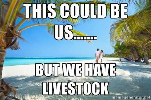 lehighoutfitter's tweet photo. So much truth here... #farmingfriday https://t.co/kR0McB1K8U
