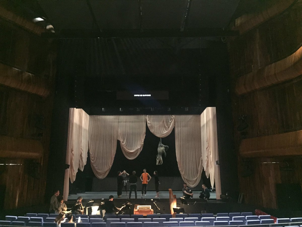 IrishMezzo's tweet photo. Gearing up for our final #INOorfeo tonight at @NatOperaHouse I will miss this incredible team and this beautiful role so much! @IrishNatOpera #trouserrole #orfeoedeuridice #irishopera https://t.co/5d0aPbXKXO