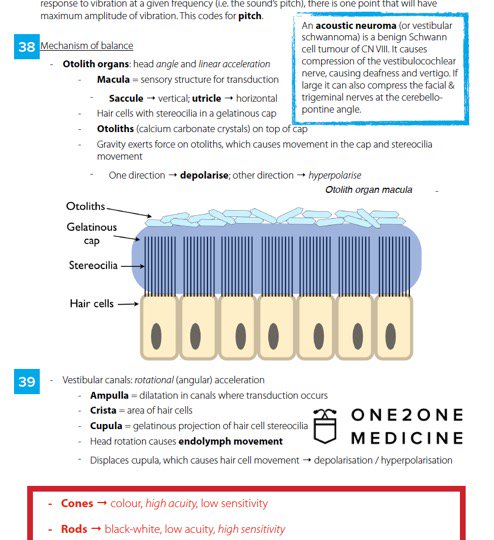One 2 One Medicine tweet media