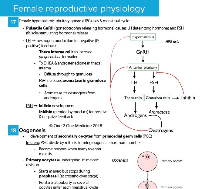 One 2 One Medicine tweet media
