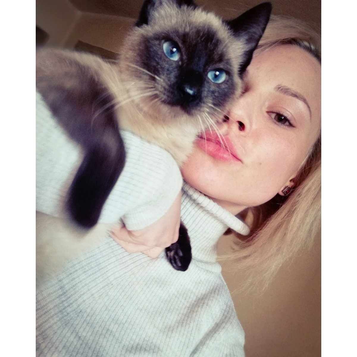 MarinaAdamova7's tweet photo. К.О.Т.Е. 👀 https://t.co/YGEgMgHw6N