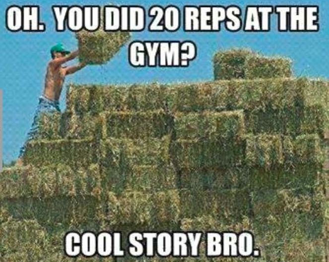 lehighoutfitter's tweet photo. Putting up hay in the summer time is no joke. ☀️#farmingfriday #thefarmlife #lehighgearforwork https://t.co/RyLZLBX5lr