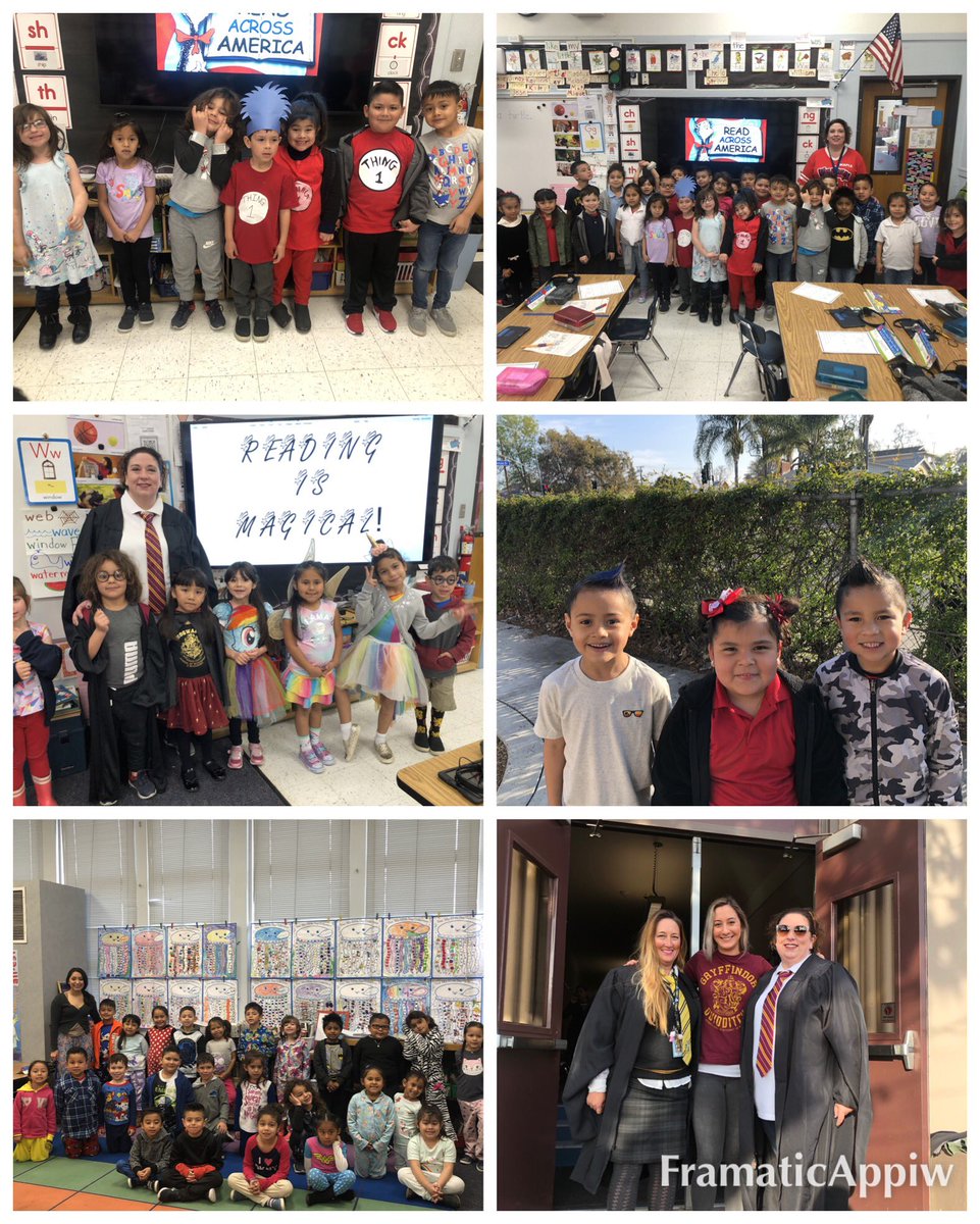 Shelley Behrns tweet media