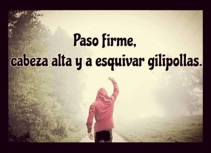 Pedro Bernat Sesè (@sesebernat) on Twitter photo 