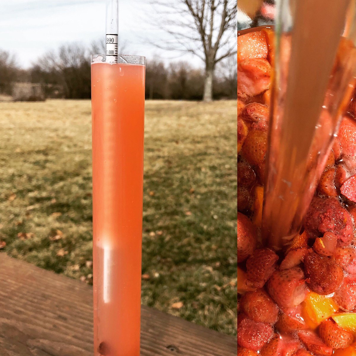 CountryDocBrew's tweet photo. Who’s ready for spring? The next beer in our Spring Break! series is Hawaiian Punch! A tart #catharina fruited sour. Try it at #blarneybrewoff2019! #homebrew #funbeer https://t.co/X2x91QtUyl