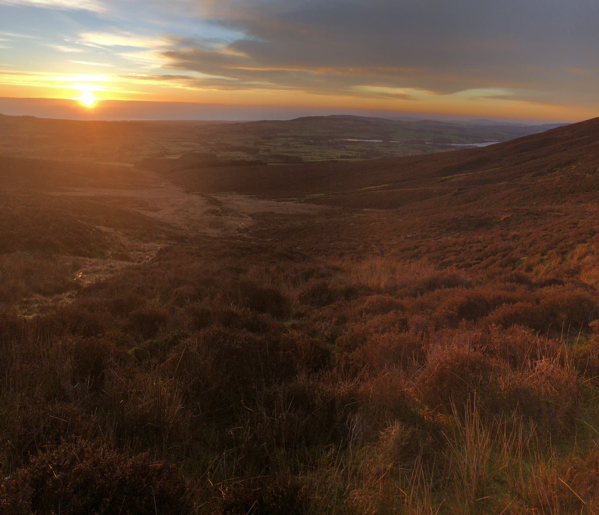 irunmountains's tweet photo. Beautiful long run this morning in #Wicklow Heather was vivid with morning sunshine #thisisfitness #ireland #mauricemullins #running #sunrise #wicklowway #runningmotivation https://t.co/HeorcY6h78