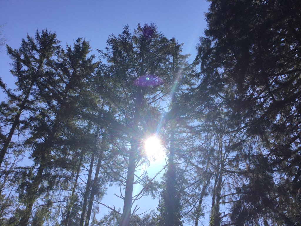 MalMindy's tweet photo. Feelin dat spring weather!!! Happy March 😘♥️🌺🌸🌷💕☀️ and🖕🏻u winter https://t.co/mSsTJEEO5U