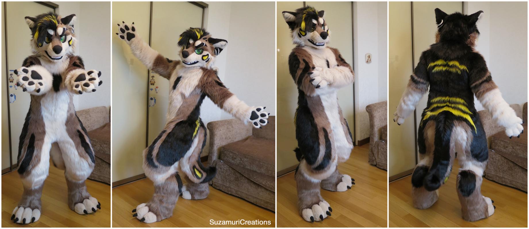 Dexter fursuit collage, Thanks to his owner for provided photos :)Fullbody fursuit...