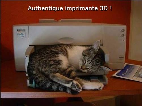 Drole De Chats Une Authentique Imprimante 3d Pour Particulier Lolcat Chat