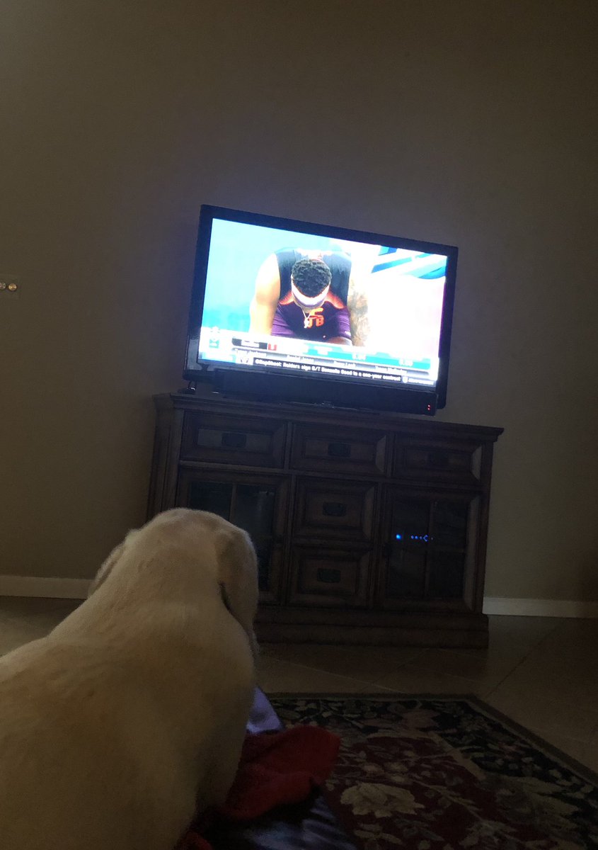 unionjack_lab's tweet photo. Never too early to start preparing for fantasy football next year while watching the #NFLCombine19 on the @nflnetwork https://t.co/GHYvrUvlhP
