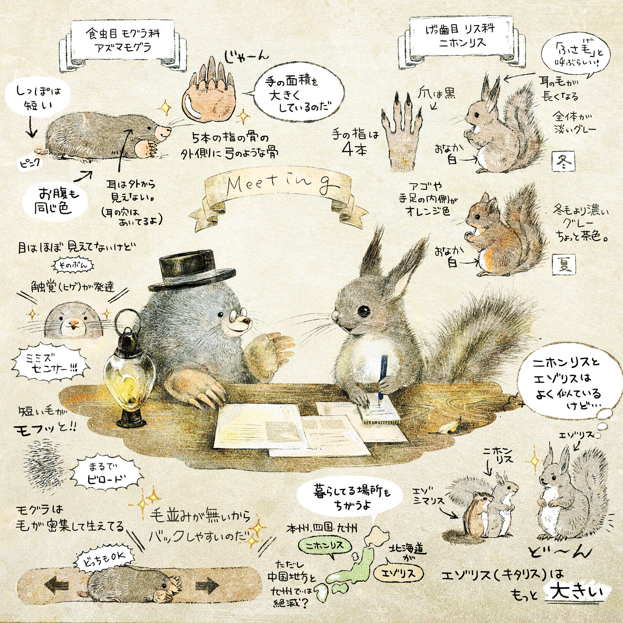 いぬい さえこ 希少な種も そうでない種も 彼らが暮らしていける場所を大切にしたいなぁって思います 色んな種がいること もっと言えば その種の中に色んな子がワイワイといる事 色んな子がいる という事は 未来を生み出す何よりの力になる いぬい さえこ 希少な種も そうでない種も 彼らが暮らしていける場所を大切にしたいなぁって思います 色んな種がいること もっと言えば その種の中に色んな子がワイワイといる事 色んな子がいる という事は 未来を生み出す何よりの力になる