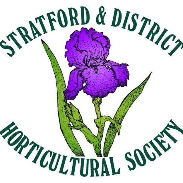 StratfordGF tweet media