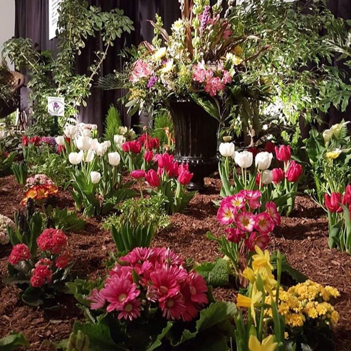 StratfordGF tweet media