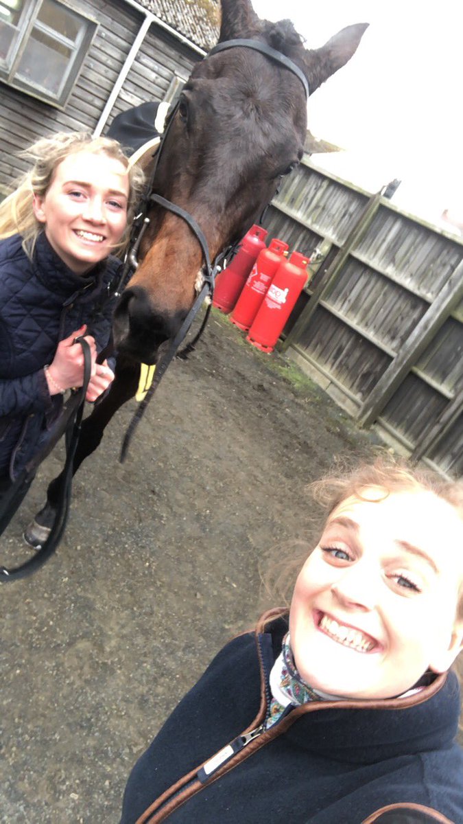 Shulton_Fay's tweet photo. A very worth while trip down to this big monster! #BlueFlight 🎉🥇 #TeamNTD @KelsoRacecourse https://t.co/Zv3dfsegG0