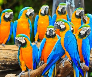 BecomingaCoach's tweet image. You know you need to get out there and network face to face and online but find it really hard.These networking tips will help, even if you are shy, don&apos;t know what to say and even hate the idea. ow.ly/JTxP30nOoHH #socialmedia #personalnetworking #networkingtips #marketing.