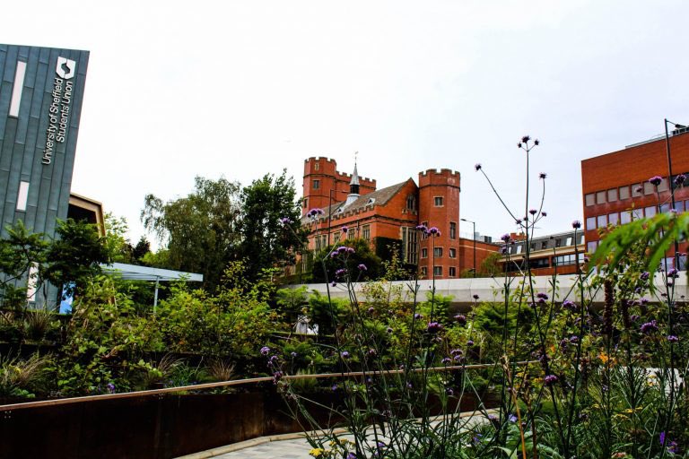 Ewan Somerville tweet media