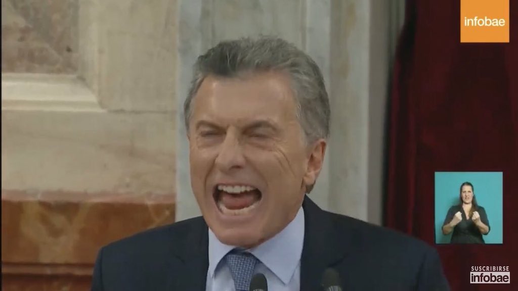 *literally nothing happens*

caniches blancos: