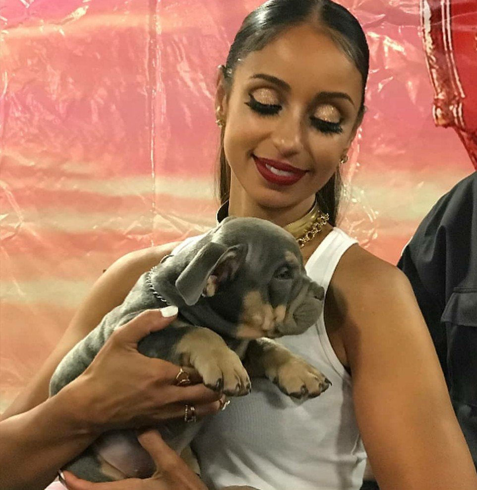 dreams711's tweet photo. Check out #Mýa's #FunFacts at https://t.co/liGkP5NDrb #SmooveJones #Planet9🚀#CEO👌#Vegan🌟#TMATF❤#TapDance💃🏻#Philanthropy #favorites
#socialmedia : @MyaPlanet9 https://t.co/Cn7dyfBZOo