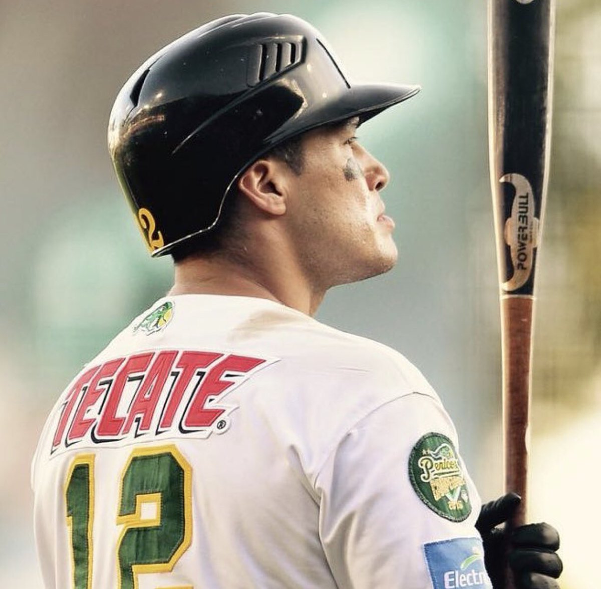 Pericos_Oficial's tweet photo. ¿¡A qué no saben a quién podrán ver a partir del lunes preparándose para la temporada 2019 de la @LigaMexBeis!? 
 
     ¡De vuelta al #NidoVerde 👀👉🏼 @MailoSalas! ¡B I E N V E N I D O! #TenemosPericos 🦜 https://t.co/KRe8wkQ9dk