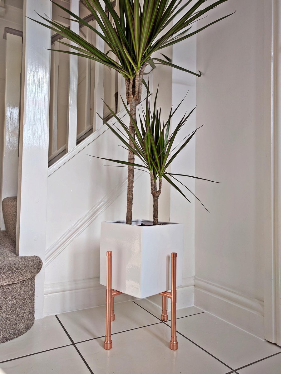 quirkhub's tweet photo. Thanks for the kind words! ★★★★★ "I am very happy with my copper plant stand. It arrived quickly and was well packaged.#etsy #housewares #homedecor #bedroom #housewarming #thanksgiving #copperplantstand #indoorplanters #indoorgarden #copperstand https://t.co/jLbjQk7ol0 https://t.co/AR07SxBTo1