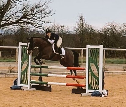 Sed_Equestrian's tweet photo. Hold your horses! Laura gave us a thrilling round on her new pony #wellridden https://t.co/Qu379dSYrw
