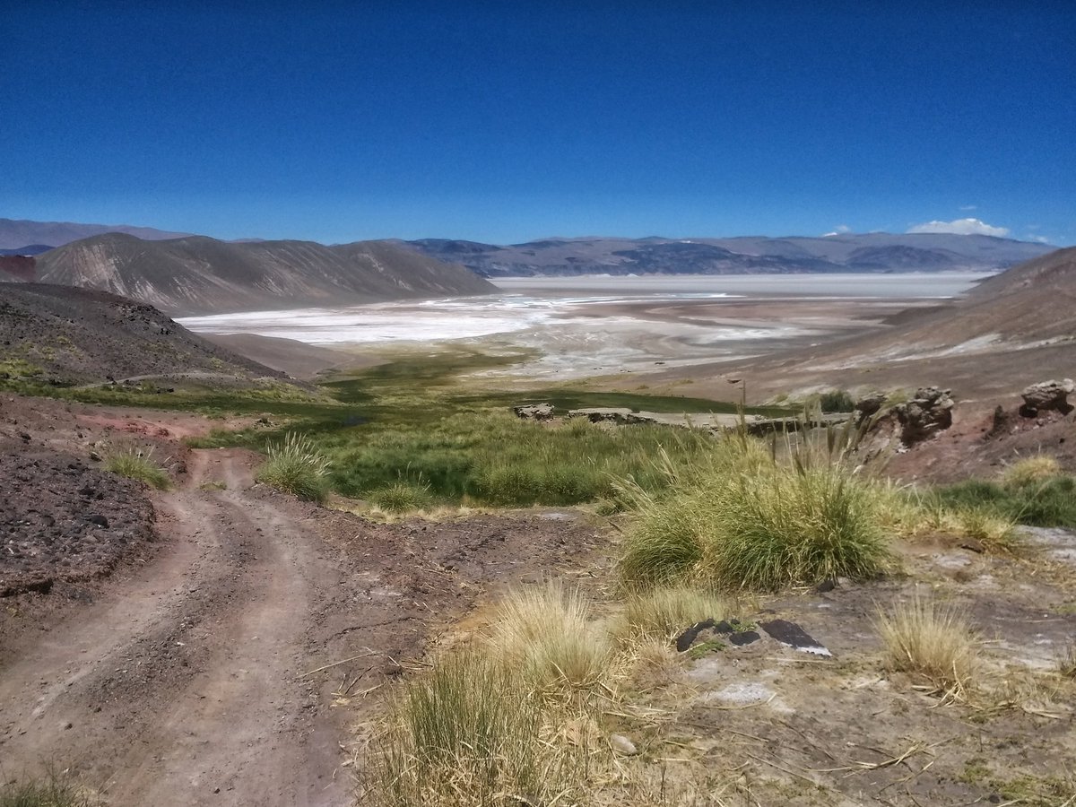 d_giovannelli's tweet photo. The #landscape on the #Puna #plateau in the #Andes #backarc is full of incredible #fauna despite an average altitude close to 4,000 m above sea level. No trees are present, only shrubs, salt lakes, #volcanoes and #hotsprings #AndesConvergentMargin https://t.co/OjZ1mNWpaV