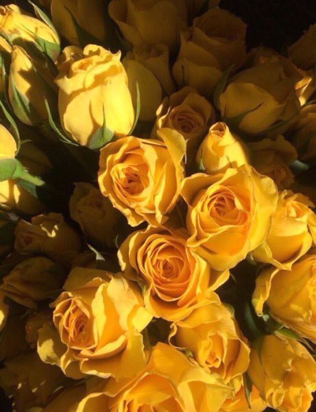 light__corner's tweet photo. @atoomi_too وكأنكِ يَا صديقتي مدينةُ ورد بعمق قلبِي
 لا تذبل أبداً ، كَمَا وكأنك حياة تتورّد بي . 💛💛💛 https://t.co/HjtbNxaudZ