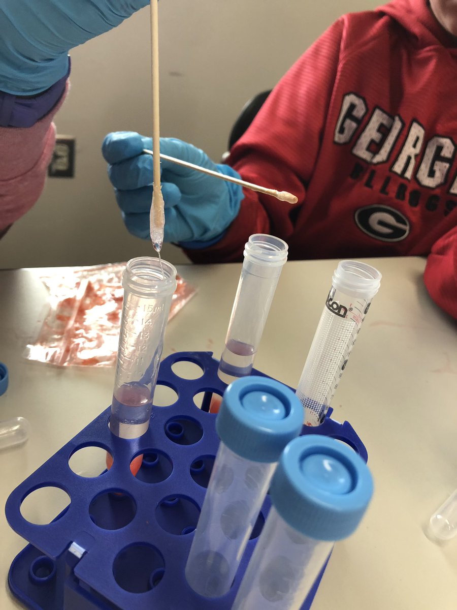 DrMaite's tweet photo. Fun day teaching at @duketip at @universityofga! Learning about DNA structure and extracting DNA from strawberries! Teaching with labs is always more fun. #UGAEHS https://t.co/XXQkWpCBC3