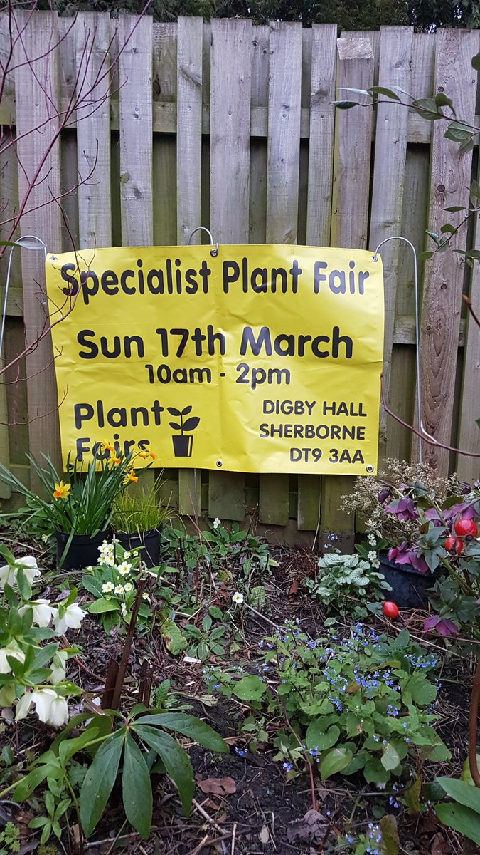 Treat yourself to plants, seed potatoes and seeds at the Specialist Charity #Plantfair #Potatoday and Seed Fair Sun 17 March Digby Hall Hound St @visitSherborne 10am to 2pm Free entry #macmillancancersupport #specialistnurseries #plants #whatsondorset #digbyhall #gyo #veggarden