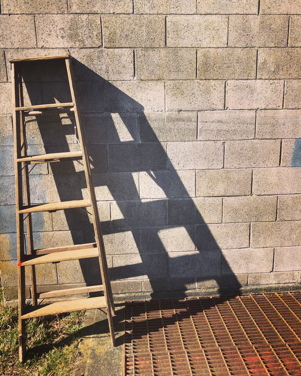 RinggoldDesign's tweet photo. A casual stroll today I spotted this #miksang https://t.co/HJoiABr3D7