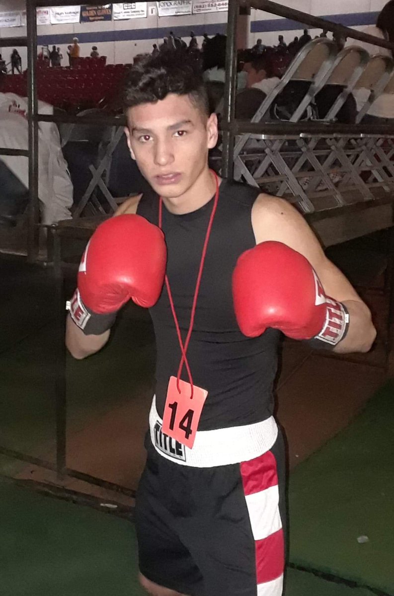 excalibur boxing gloves