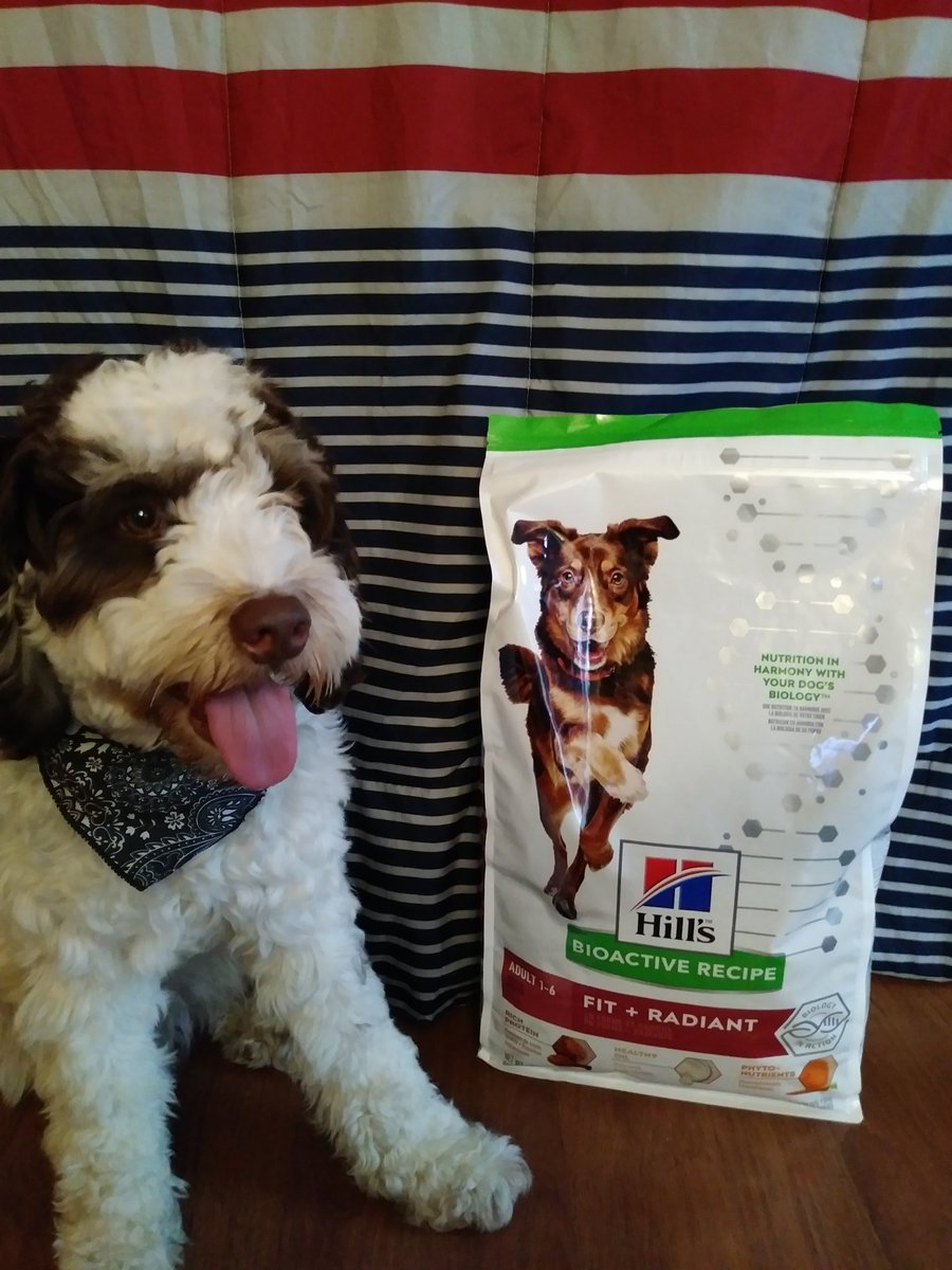 hills fit and radiant dog food