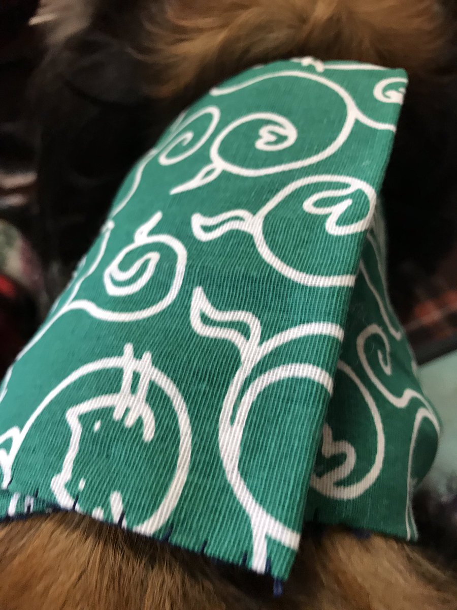 Covowz's tweet photo. 縫い縫い。
愛犬のマナーバンド(オムツを巻くやつ)を100円shopのてぬぐいで作った。大雑把な部分は私が、細かい部分は母が。作れるもんだ、と😊もう1個作ろうかな。
#handmade #handsewing
#mannerband #forDog https://t.co/xkjherwiww