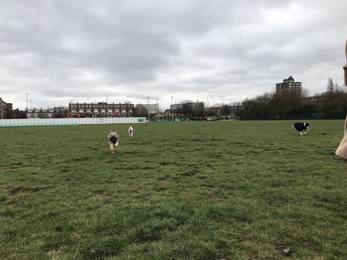 JeffTakesOff's tweet photo. And again! Iโm leading the charge! And for @Cafeterrier look! Itโs an ear thing! ๐๐๐ #RememberingLeo #ItsanEarThing https://t.co/LbQ8RPPo48