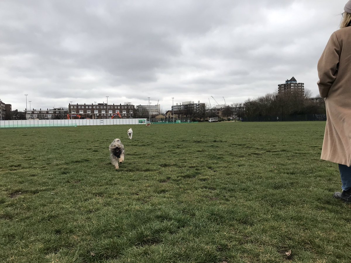 JeffTakesOff's tweet photo. And again! Iโm leading the charge! And for @Cafeterrier look! Itโs an ear thing! ๐๐๐ #RememberingLeo #ItsanEarThing https://t.co/LbQ8RPPo48