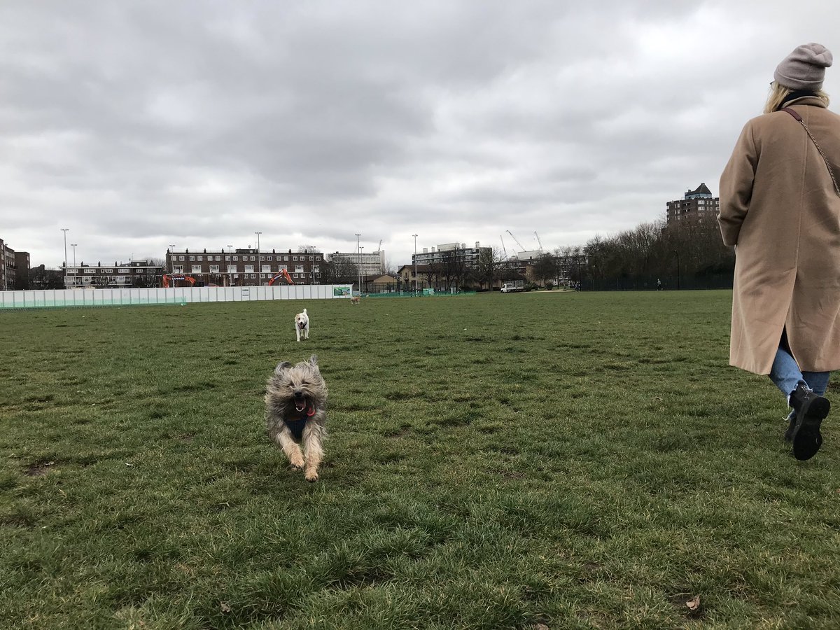 JeffTakesOff's tweet photo. And again! Iโm leading the charge! And for @Cafeterrier look! Itโs an ear thing! ๐๐๐ #RememberingLeo #ItsanEarThing https://t.co/LbQ8RPPo48