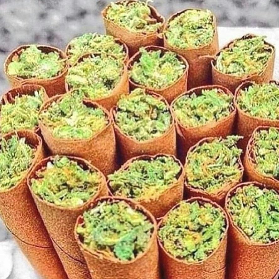 Can you finish this?
Let get high together 🌳 🔥
#cannabiscanada #cannabisindustry #cannabisstocks #weeds #WEEDSTOCKS #WeedLover #weedstagram #CannabisCommunity #CanNayika #cannabisculture #weed #cannabis #india #satia #cannabisseeds #homemade #weedporndaily #weeds #WEEDSTOCKS