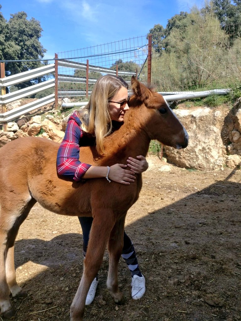 crisroba2's tweet image. Un sábado mágico entre lusitanos en @ladonaira. Para mí los lugares así con un auténtico paraíso. Naturaleza, paz, respeto, serenidad, filosofía ecológica y mucho mimo en cada detalle. #ladonaira #slowweekend