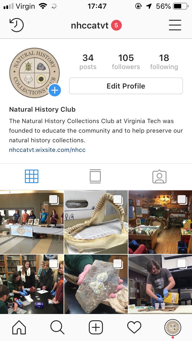Virginia Tech Natural History Club tweet media