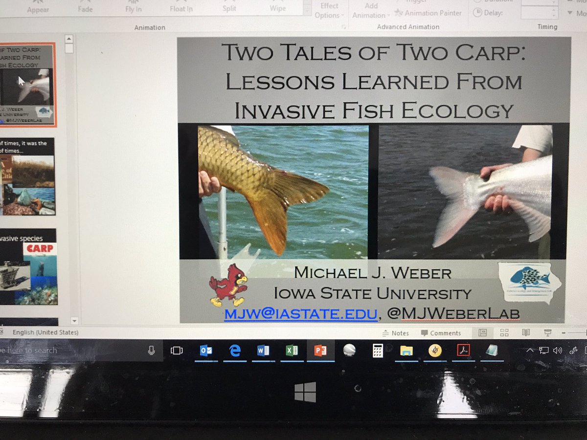 MJWeberLab's tweet image. Looking forward to visiting @wesnerlab at @usd in a couple of weeks to talk about #InvasiveFish ecology &amp;amp; management. Guess I better get started working on the presentation!