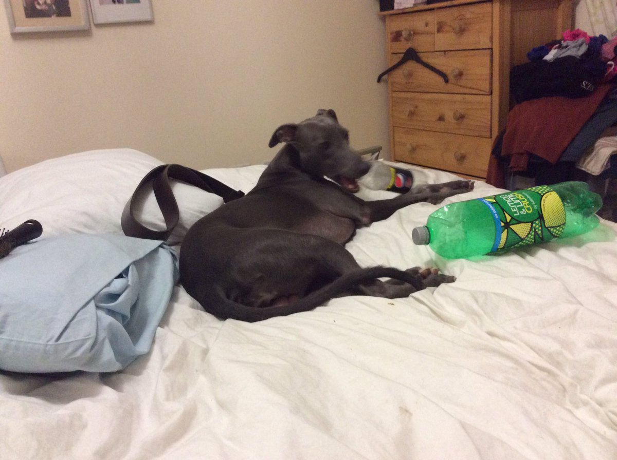 I have brought part of my bottle collection to bed.